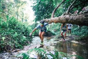 BIB: 
                            <button type="button" onclick="openModal(25436384)" class="btn btn-primary btn-sm float-right btn-popup" data-toggle="modal" data-target=".modal-high-quality">
                        <i class="fas fa-shopping-cart"></i> Add to Cart
                    </button>
                                            <button type="button" onclick="isThisMe(25436384, true)" class="btn btn-success btn-sm float-right btn-popup btn-isme hidden" data-toggle="tooltip" data-placement="bottom" title="นี่คือรูปของคุณใช่ไหม คลิกที่นี่เพื่อเอาเข้าอัลบั้ม">
                        <i class="fas fa-plus"></i> Add to album
                    </button>
                    <button type="button" onclick="isThisMe(25436384, false)" class="btn btn-warning btn-sm float-right btn-popup btn-isnotme hidden">
                        <i class="fas fa-ban"></i> Remove from album
                    </button>